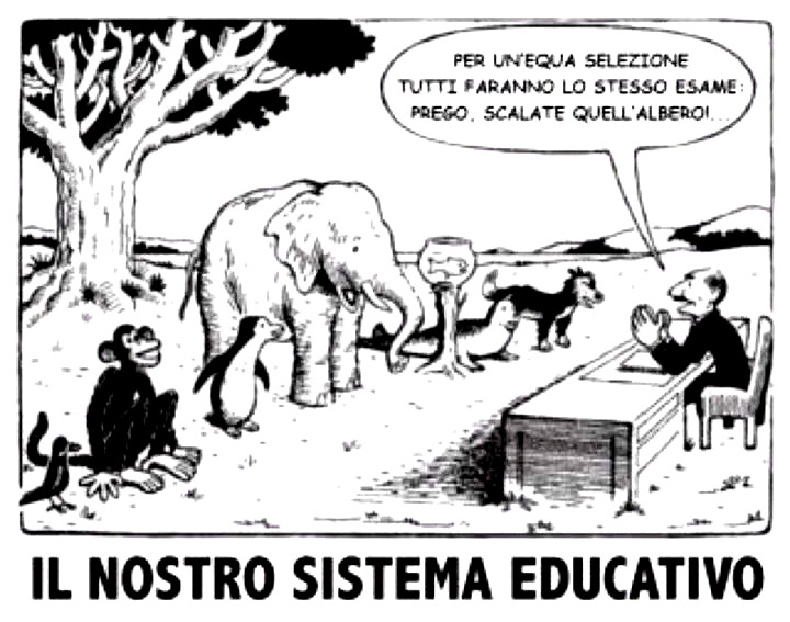 Sistema educativo