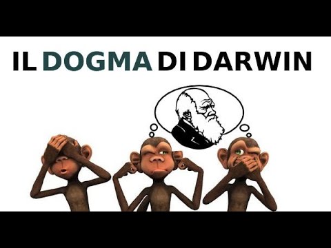 CLICCA QUI PER VEDERE IL VIDEO "Intervista a Valentino Bellucci su teoria evoluzionistica di Darwin"