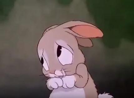 CLICCA QUI PER VEDERE IL VIDEO "Piccolo Hiawatha, cartone animato di Walt Disney"