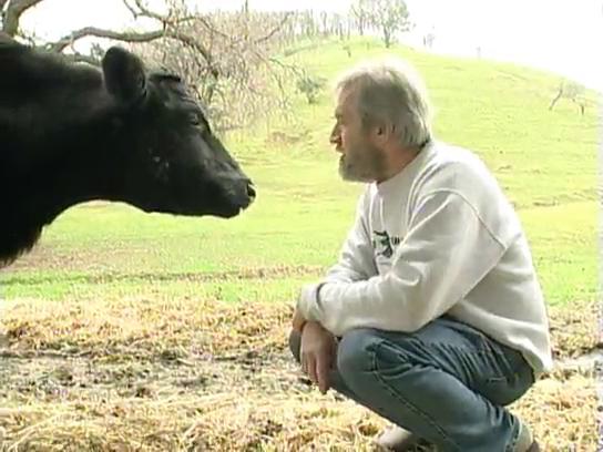 CLICCA QUI PER VEDERE IL VIDEO "Sentimenti ed emozioni degli animali da fattoria"